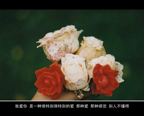 搞怪网名女生_WWW.WHOISQQ.COM
