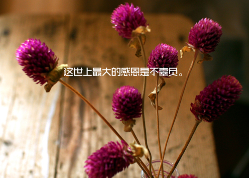 qq网名囧囧_WWW.WHOISQQ.COM