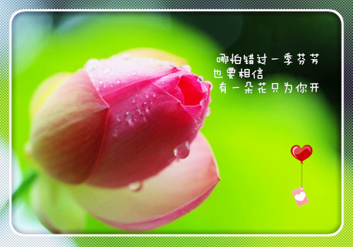 野蛮人网名_WWW.WHOISQQ.COM