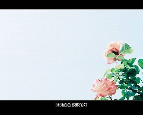 百度 伤感 网名_WWW.WHOISQQ.COM