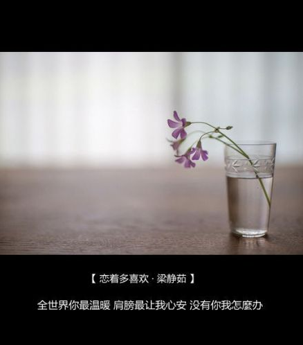 带志字的qq网名_WWW.WHOISQQ.COM