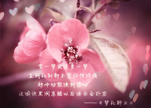 qq个性网英文网名男_WWW.WHOISQQ.COM