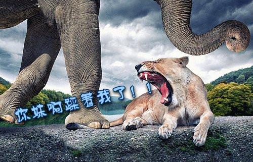 押韵唯美八字网名_WWW.WHOISQQ.COM