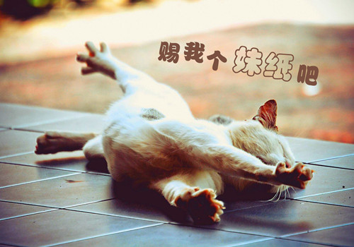 与血有关网名_WWW.WHOISQQ.COM