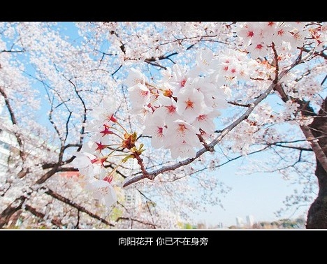 非诚勿扰能做网名吗_WWW.WHOISQQ.COM