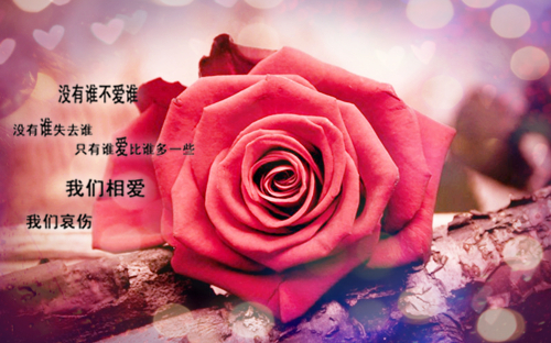 关于芸的网名_WWW.WHOISQQ.COM