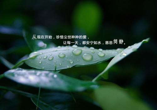 带有呆萌的群网名_WWW.WHOISQQ.COM