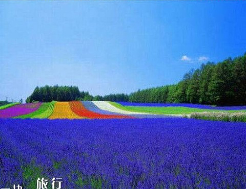 中年女士微信网名_WWW.WHOISQQ.COM