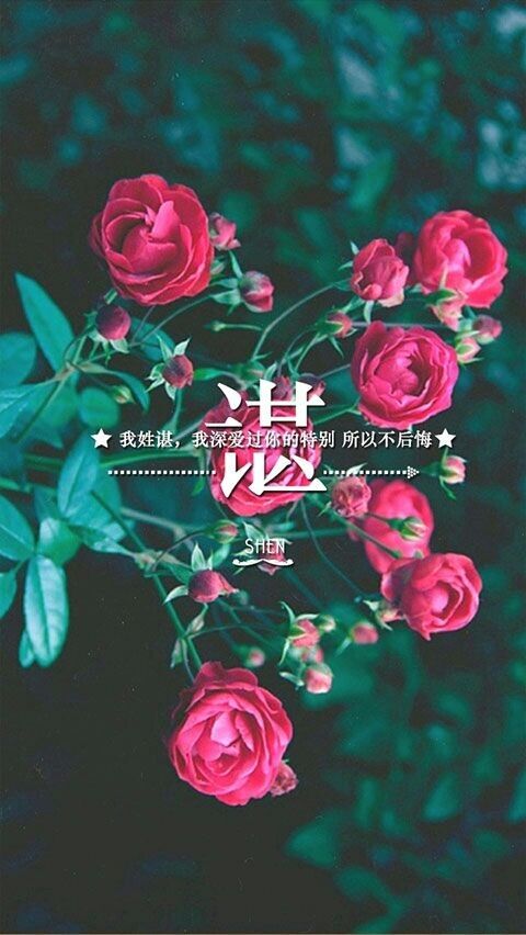 求华丽丽qq网名易懂的_WWW.WHOISQQ.COM
