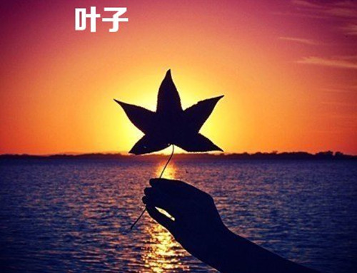 qq含琼的女生网名_WWW.WHOISQQ.COM