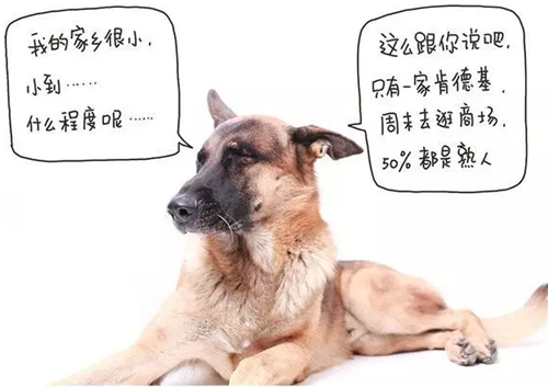 自由之战网名几个字_WWW.WHOISQQ.COM
