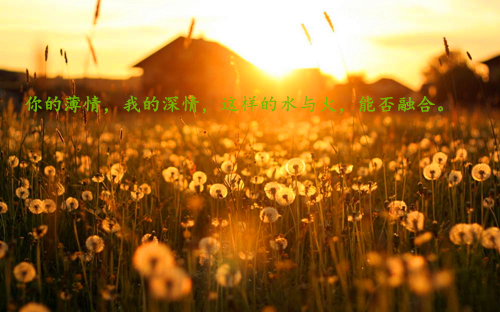 好听2个字网名女生_WWW.WHOISQQ.COM