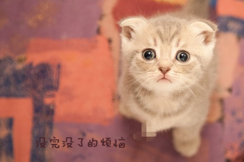 简单带回忆的网名_WWW.WHOISQQ.COM