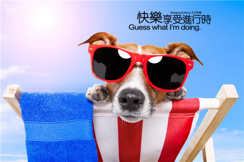 什么什么的少女网名_WWW.WHOISQQ.COM