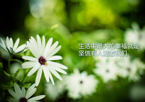 适合女孩的qq英文网名_WWW.WHOISQQ.COM