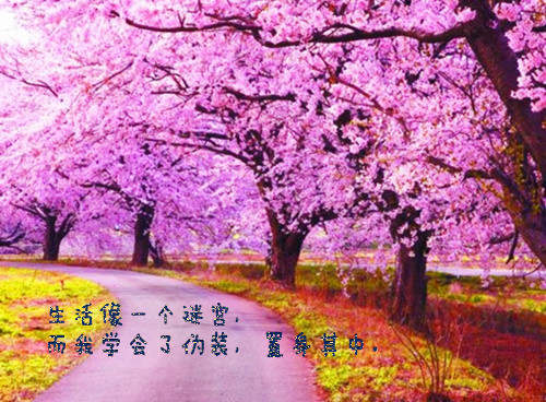 两个到七个字悲伤网名_WWW.WHOISQQ.COM