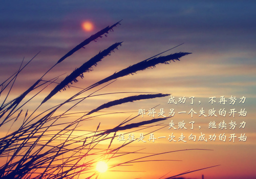 2018年最新超拽网名_WWW.WHOISQQ.COM