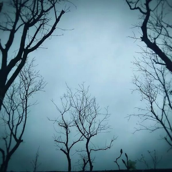 男性的网名有哪些_WWW.WHOISQQ.COM