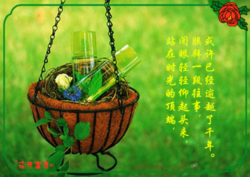 字少有气质网名_WWW.WHOISQQ.COM