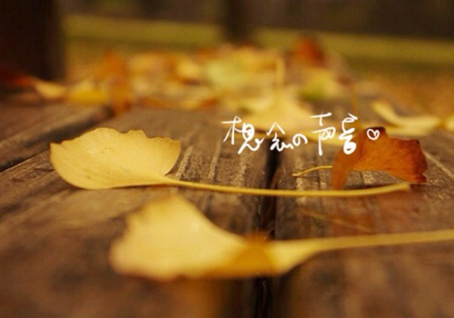 两个字的带葬字的网名_WWW.WHOISQQ.COM