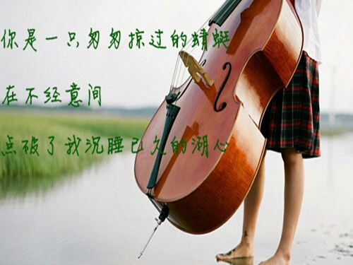 带有璇的网名_WWW.WHOISQQ.COM