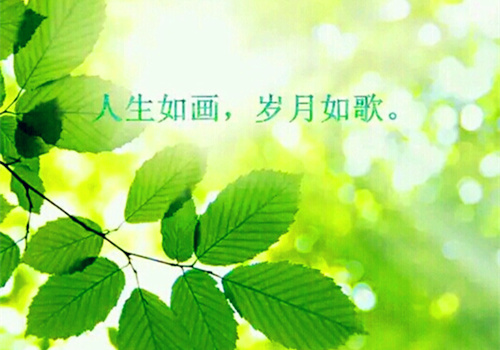 熊 网名_WWW.WHOISQQ.COM