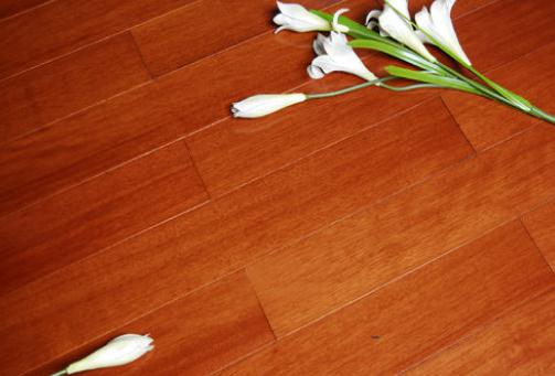 巧妙清洁木地板的方法_WWW.WHOISQQ.COM